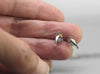 Rotkehlchen Schmuck